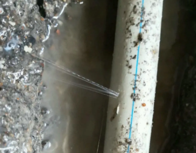 巨鹿测漏水哪家好