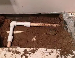 巨鹿测漏水哪家好