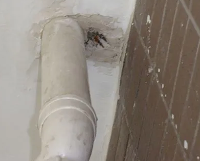 巨鹿漏水检测哪家好